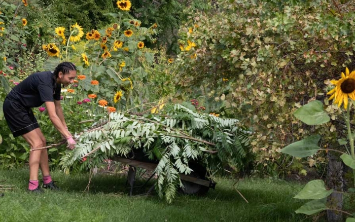 a person loads a wheel barrow with weeds during a service project with outward bound